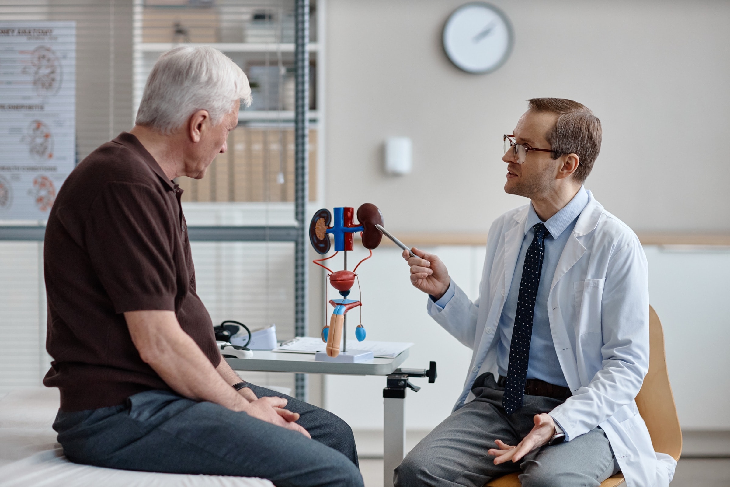 A doctor explaining a prostate and urinary model to an older man
